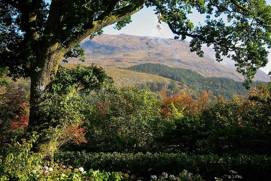 Ard Daraich - Garden View
