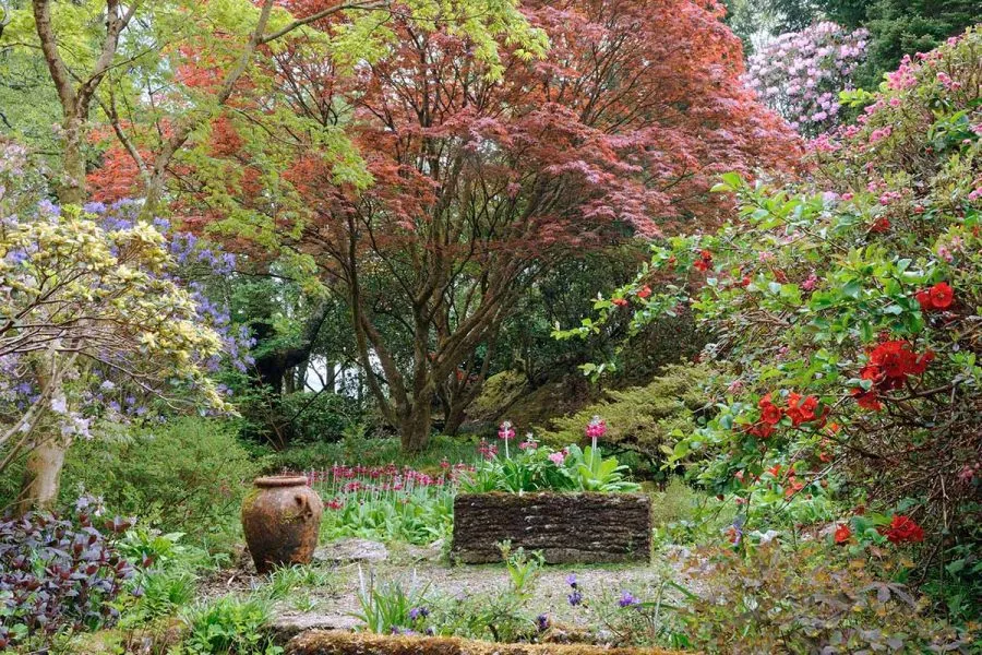 Ard Daraich - Fort William - A Glencoe Garden